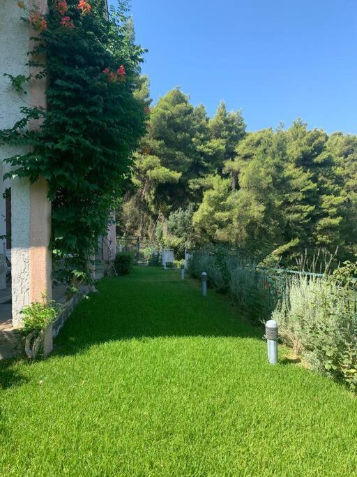 شقة Amfiteatrico Sea View - Kalamos Attiki Markopoulon Oropou المظهر الخارجي الصورة